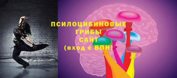 PSILOCYBIN Бронницы