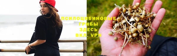 mix Бородино