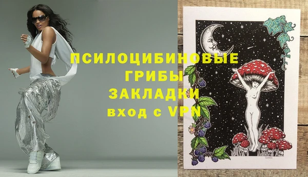 бошки Богородск
