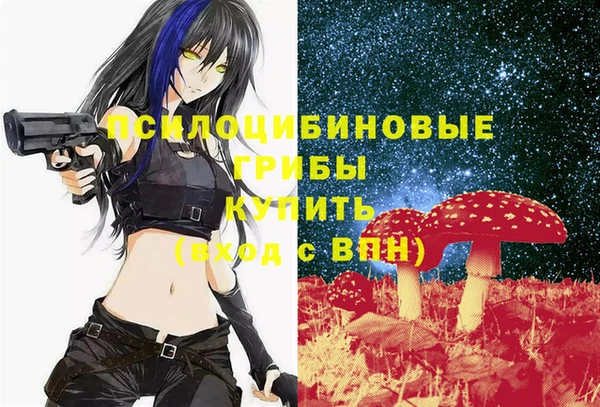 МДПВ Богданович