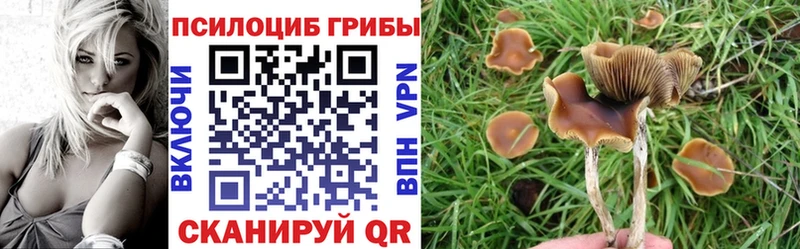 блэк спрут   Выборг  Галлюциногенные грибы GOLDEN TEACHER  где продают наркотики 